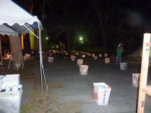 緑色に輝く夜の御浜の海（ごぜ芸能祭りの夜）