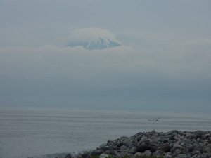 今日の富士山（御浜岬より）