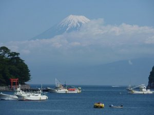 今日の富士山（戸田港より）