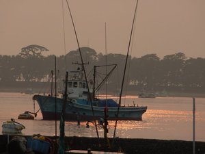夕暮れの戸田港