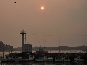 夕暮れの戸田港