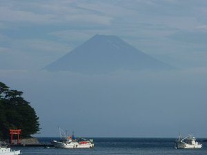 今日の富士山（戸田港より）