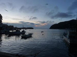 夕暮れの戸田港