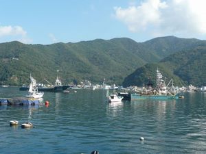 朝の戸田港
