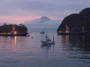 今日の富士山｛戸田港より）