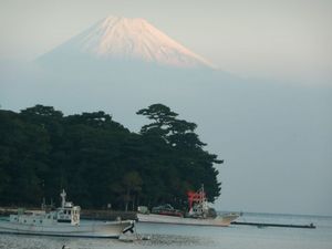 早朝の富士山（戸田港より）