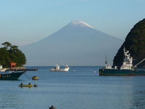 今日の富士山（戸田港より）