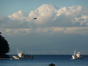 今日の富士山（１１月２９日）