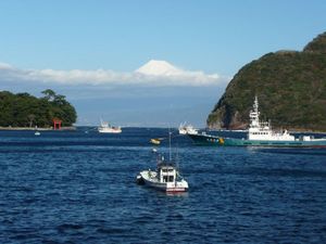 今の富士山（戸田港より）