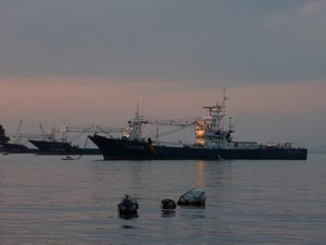 夕日に映える巻き網船（戸田港）