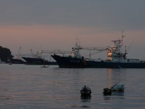 夕日に映える巻き網船（戸田港）