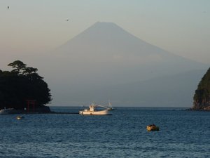 今日の富士山（戸田港）
