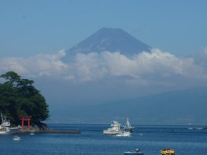 今日の富士山（戸田港より）