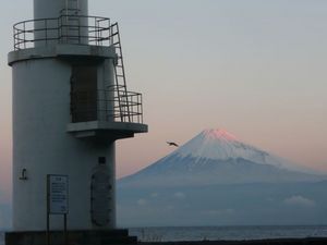 早朝の富士山（戸田港より）