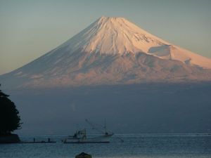 早朝の富士山（戸田港より）