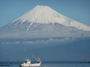今日の富士山（戸田港より）パート2