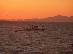 御浜岬の夕日