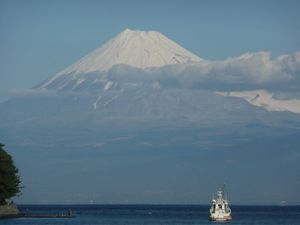 今日の富士山（戸田港より）