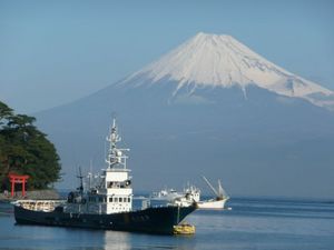 今日の富士山（戸田港より）