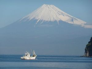 今日の富士山（戸田港より）