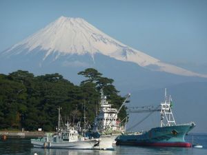 今日の富士山（戸田港より）