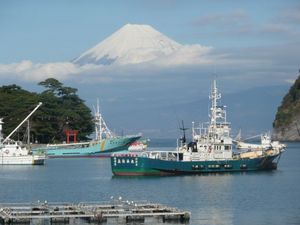 今日の富士山（戸田港より）