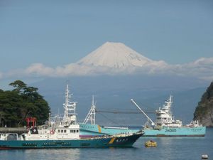 今日の富士山（戸田港より）