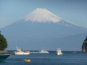 今日の富士山（戸田港より）