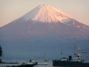 今日の富士山（戸田港より）