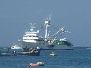 遠洋巻き網船（戸田港）