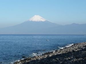 今日の富士山（戸田港より）