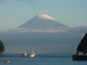 今日の富士山（戸田港）