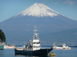 元旦の富士山（戸田港より）