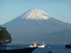今日の富士山（戸田港より）