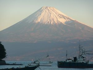 今日の富士山（戸田港より）