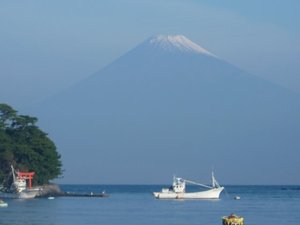 今日の富士山（戸田港）
