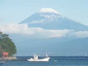 今日の富士山（戸田港より）
