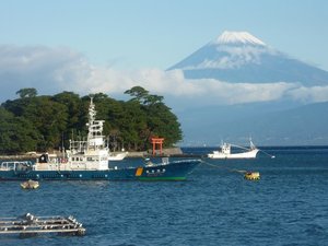 今日の富士山（戸田港より）