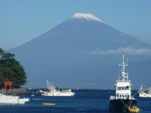 今日の富士山（戸田港より）