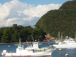 今日の戸田港