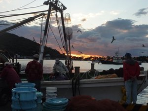 夕暮れの戸田港