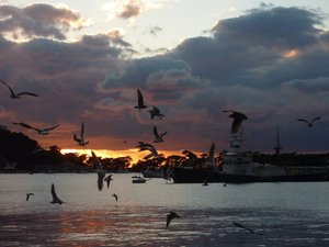 夕暮れの戸田港