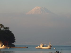 今日の富士山（戸田港）