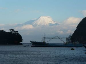 今朝の富士山（戸田港より）