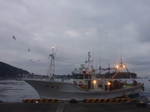 オオコシオリエビと深海エビ（駿河湾の恵）