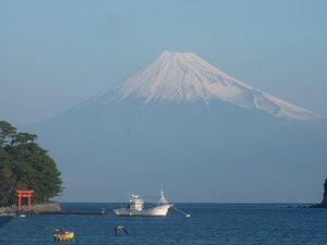 今日の富士山（戸田港）