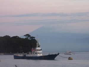 今日の富士山（戸田港）