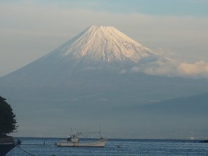 今日の富士山（戸田港）