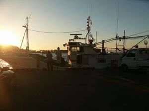 戸田湾の日没