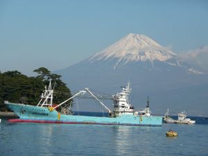 戸田港からみた富士山